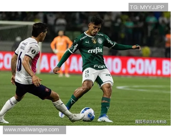 今日欧洲联赛比分直播全面更新即时数据精彩呈现